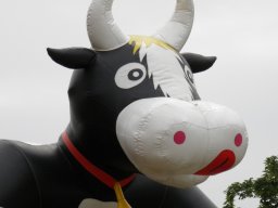 Gemeindefest 2023